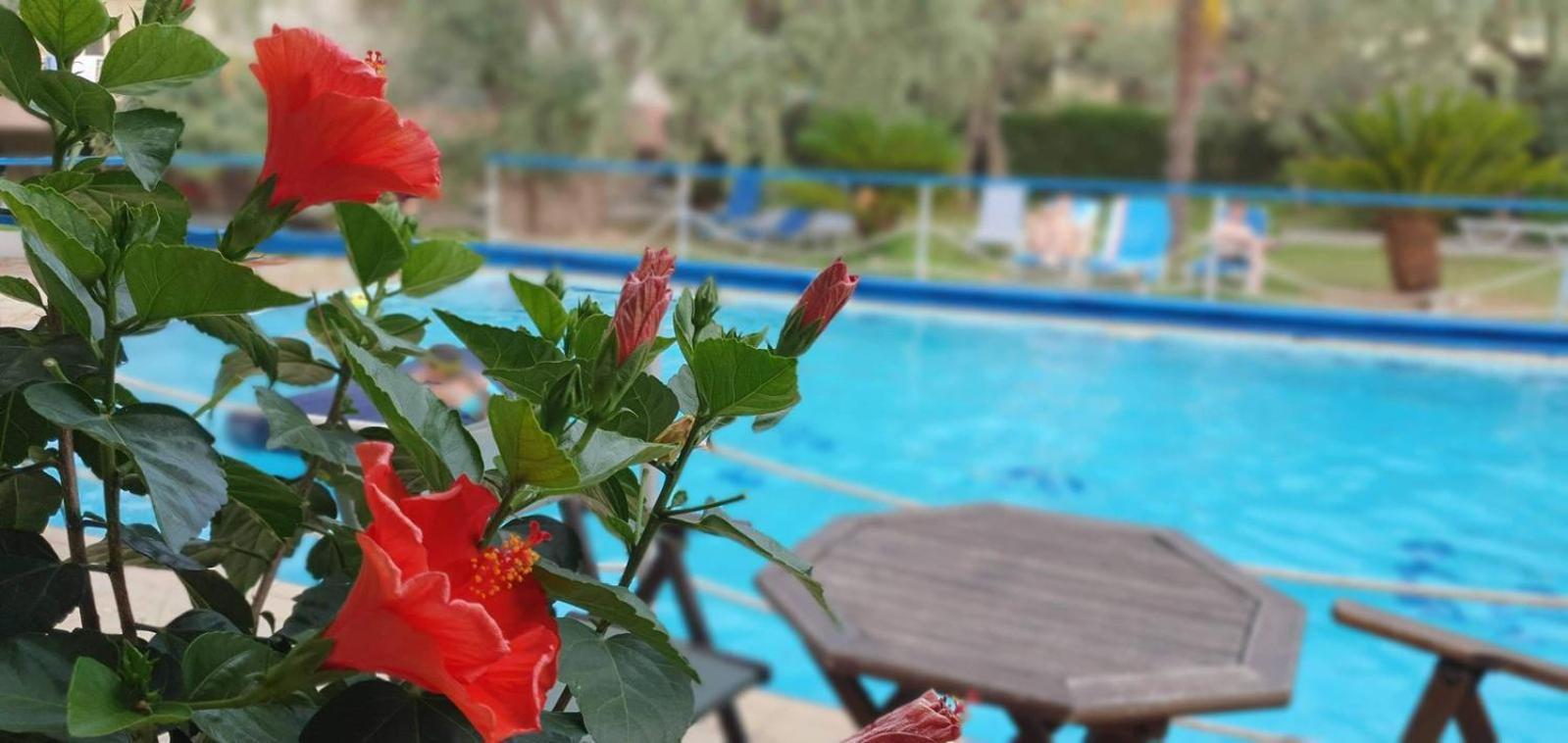 Tsigoura Verde Resort Μικρός Πρίνος Εξωτερικό φωτογραφία